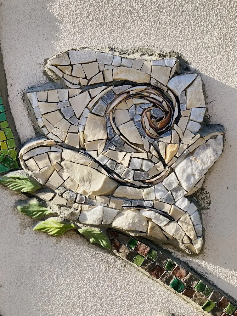 Rosa